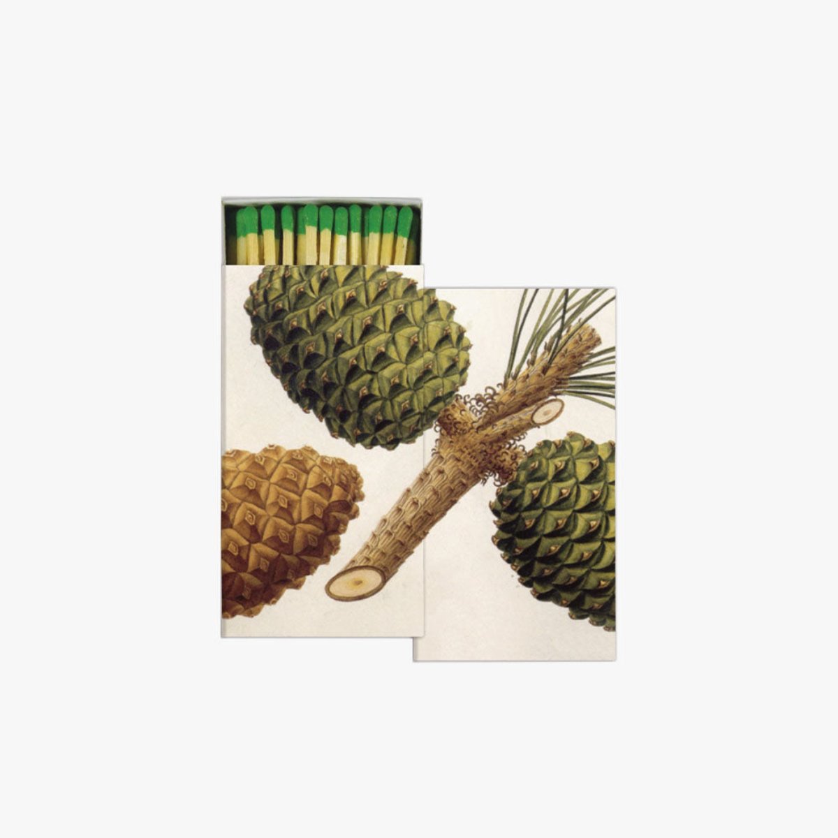 Match box with pinecone illustrations on a white background