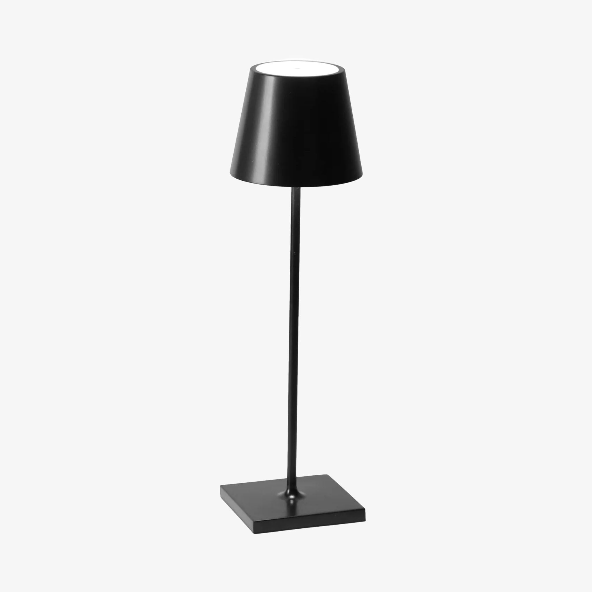 Poldina Pro Table Lamp in Black - Addison West 