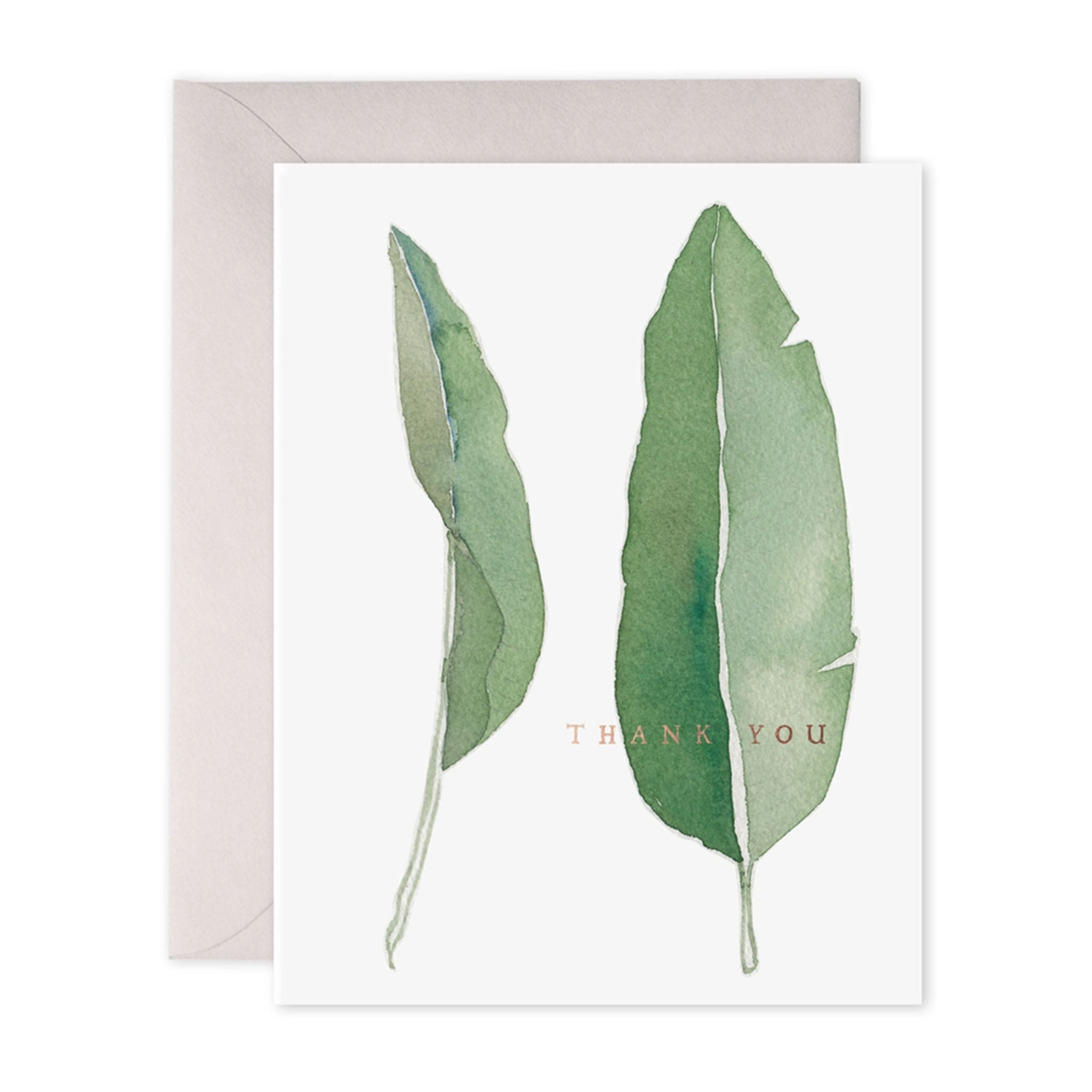 Thank You Leaves Card Boxed Set Of 6 - Addison West 