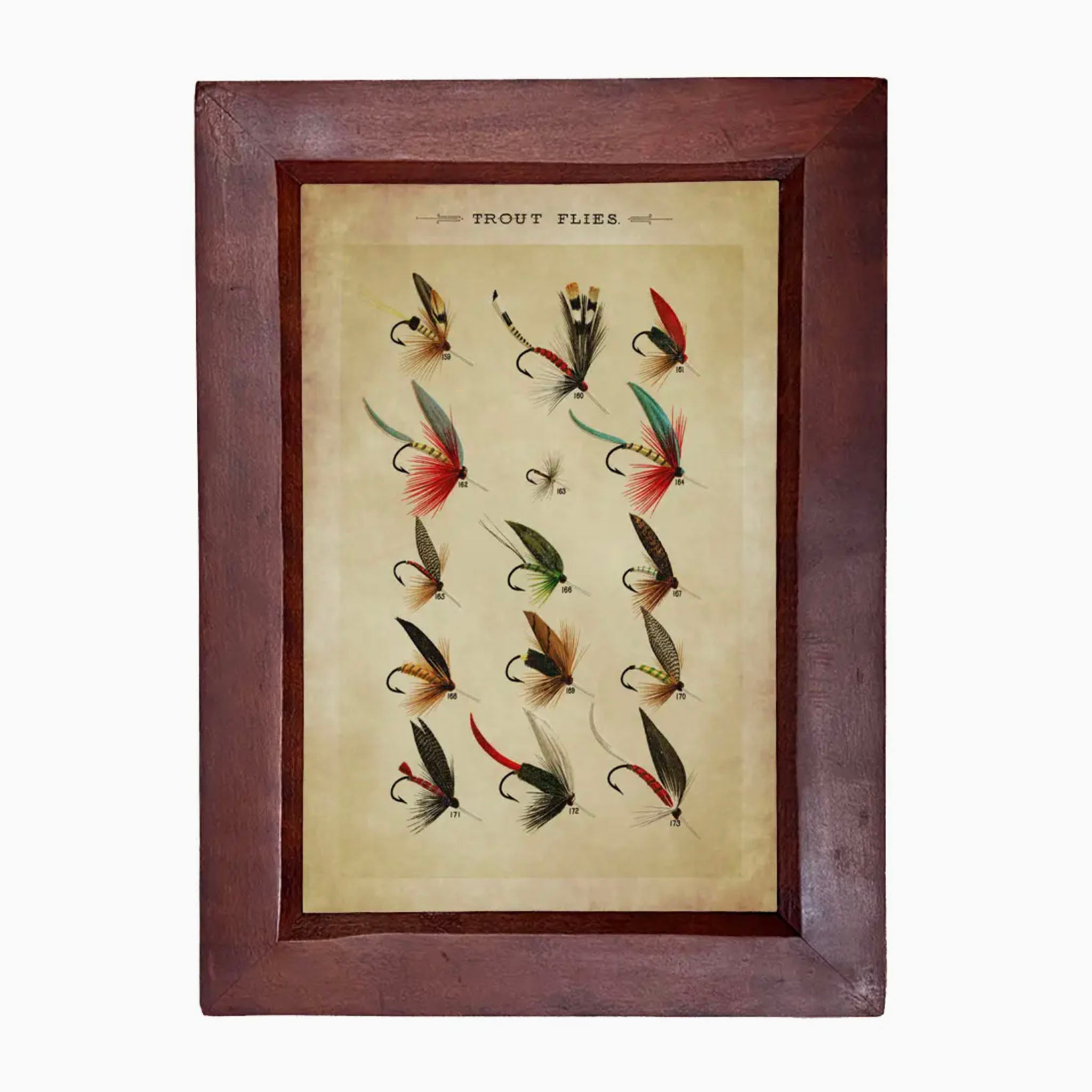 Wood framed print of trout flies with antiqued paper on a white background