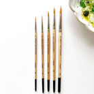 Watercolor Paintbrush Set - Addison West 