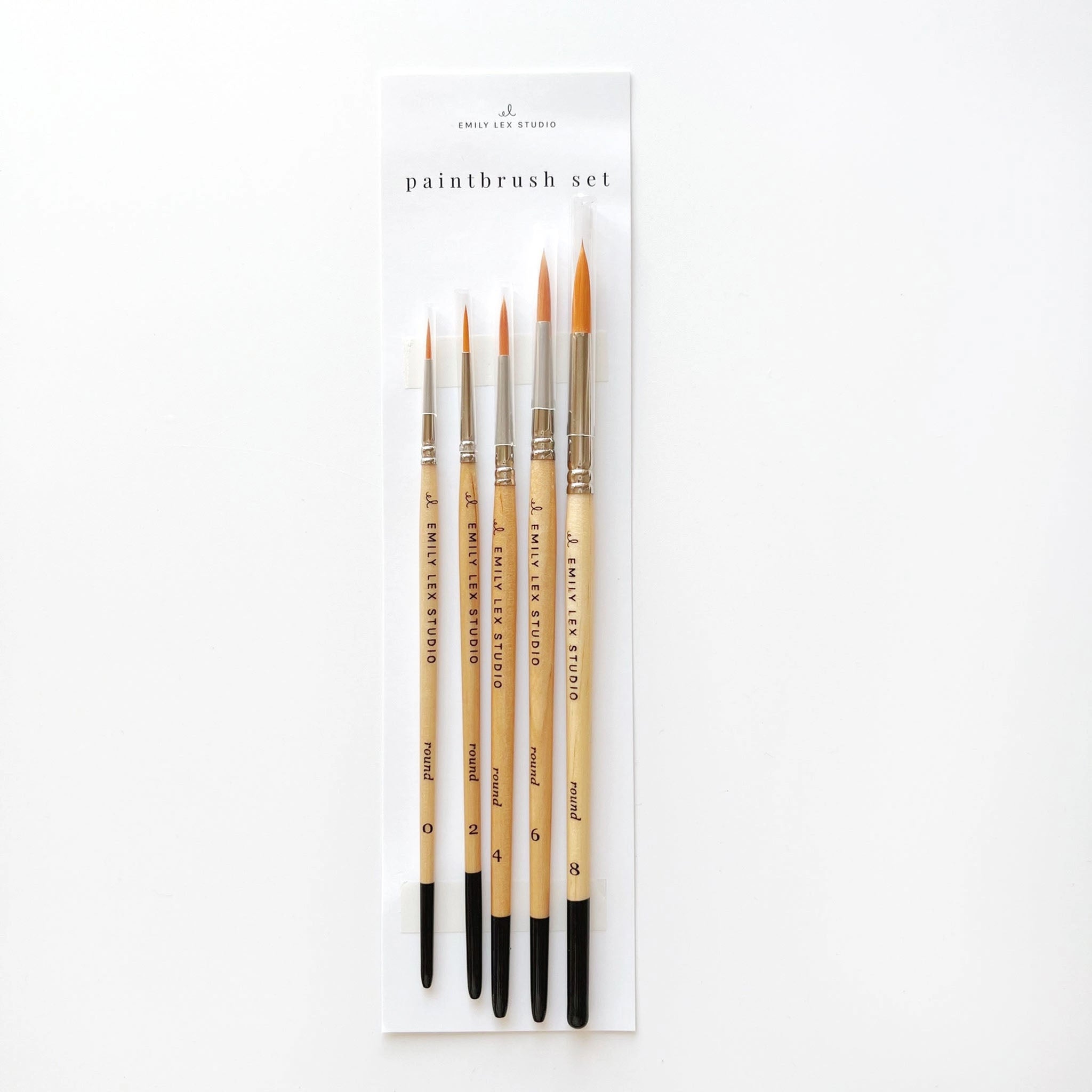 Watercolor Paintbrush Set by emily lex studio on a white background