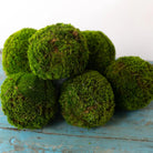 5'' Small Moss Ball - Addison West 