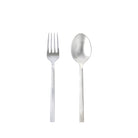 Stainless serving set with fork and spoon on a white background