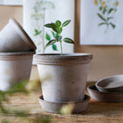 Berg's Pottery Grey Flora Pot Set - Addison West 