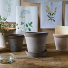 Berg's Pottery Grey Flora Pot Set - Addison West 