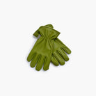 Garden Glove - Olive - Addison West 