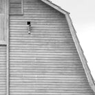 Large black and white barn print in a wood frame on a white background