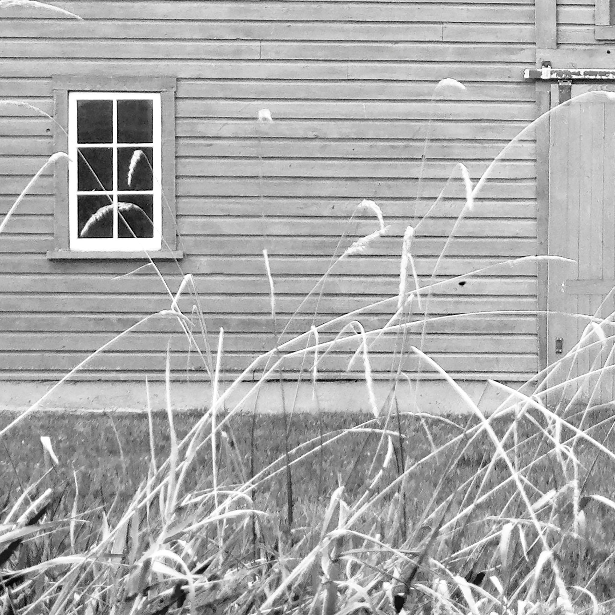 The Large Barn in Black and White - Addison West 