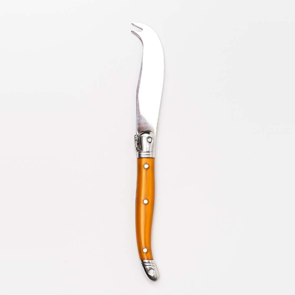 Laguiole Rainbow Fork Tipped Cheese Knife - Addison West 