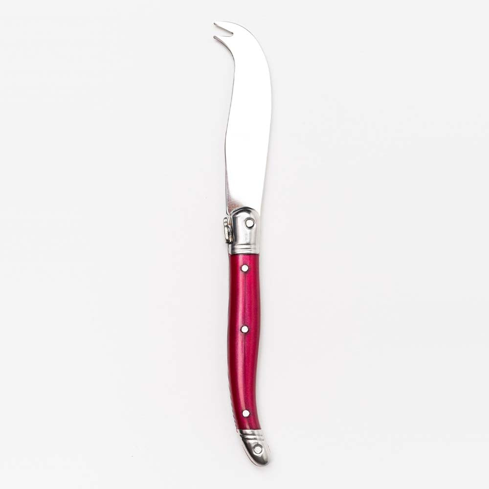 Laguiole Rainbow Fork Tipped Cheese Knife - Addison West 