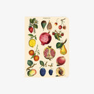 Cavallini Paper Le Jardin Mini Notebooks - Addison West 