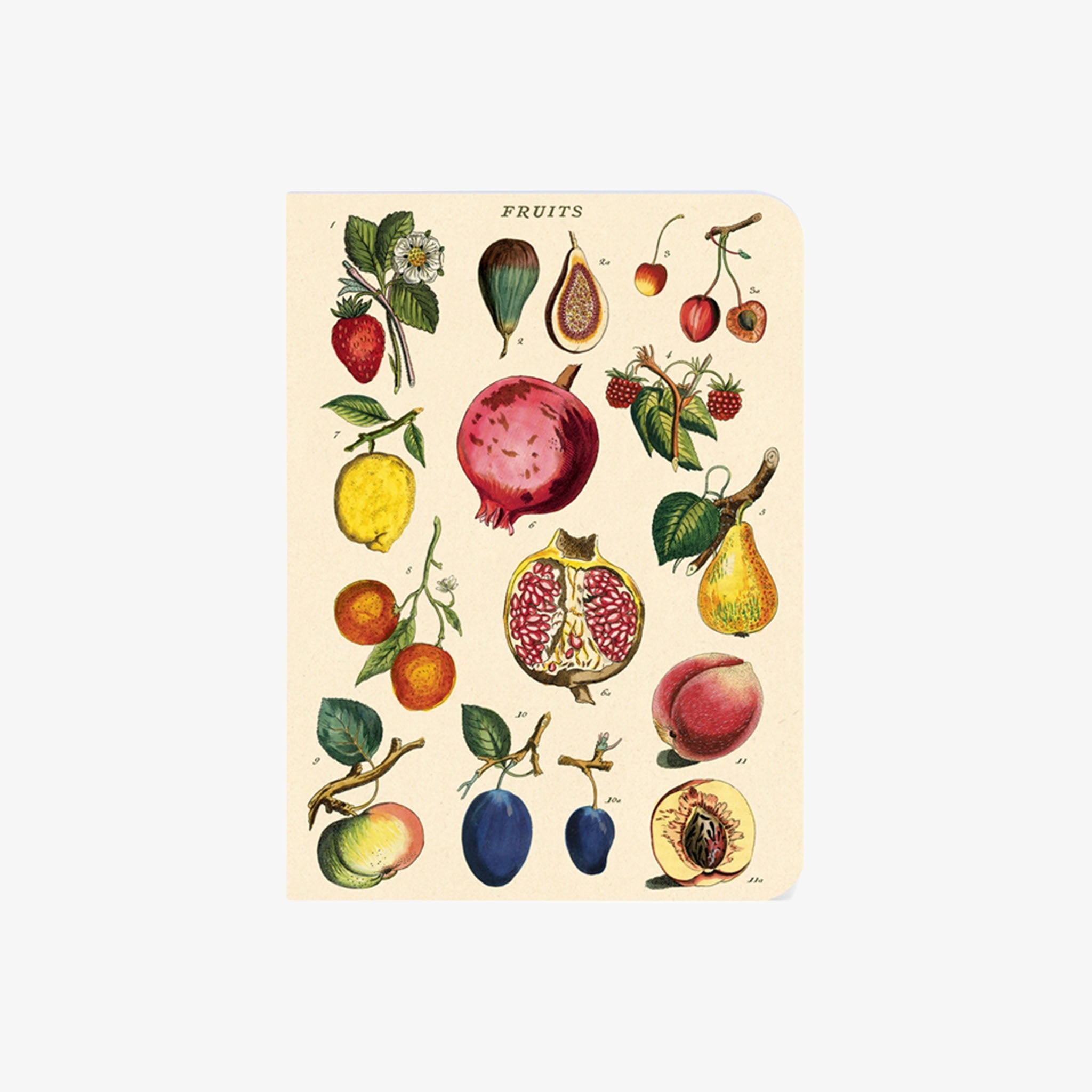 Cavallini Paper Le Jardin Mini Notebooks - Addison West 