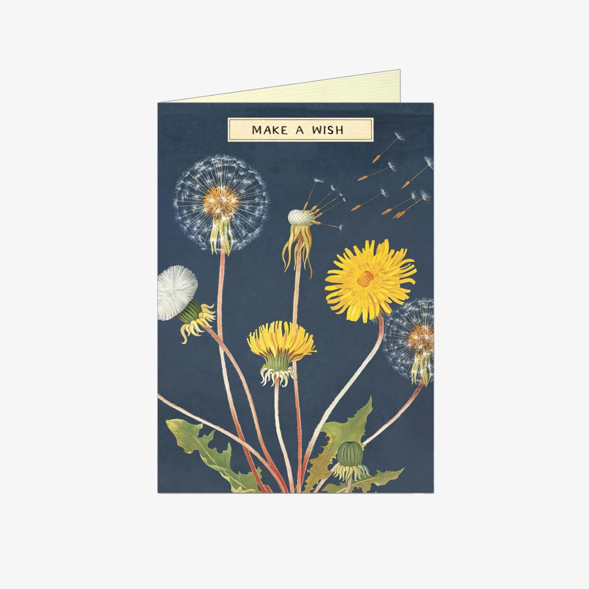 Make a Wish Greeting Card - Addison West 