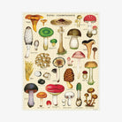 Cavallini Paper Mushroom Puzzle - Addison West 